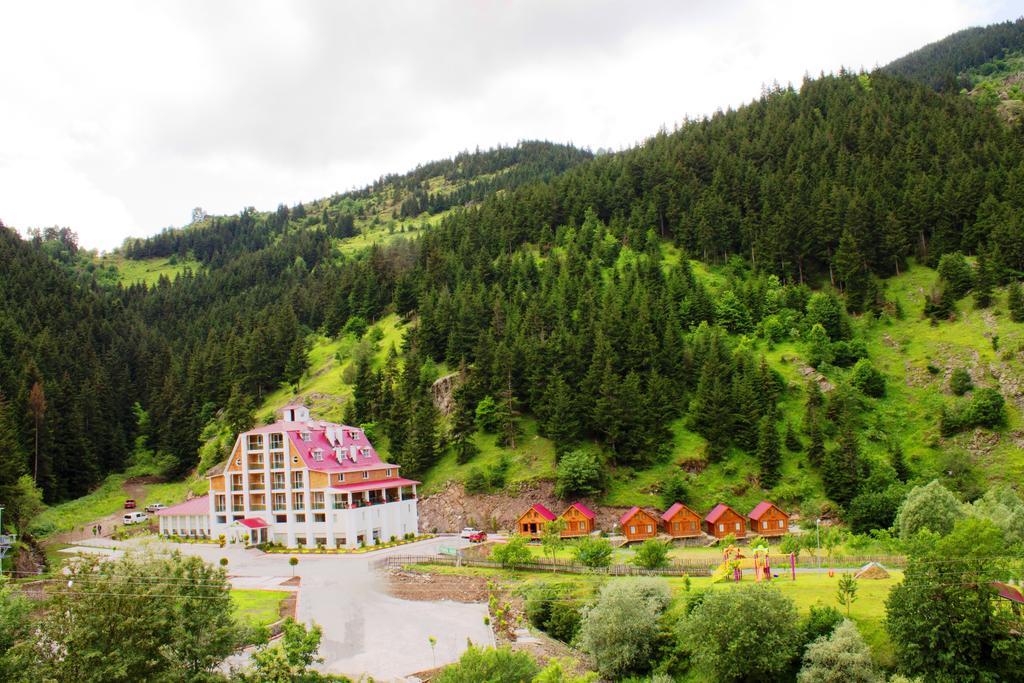 Hotel Green Valley Savsat Extérieur photo