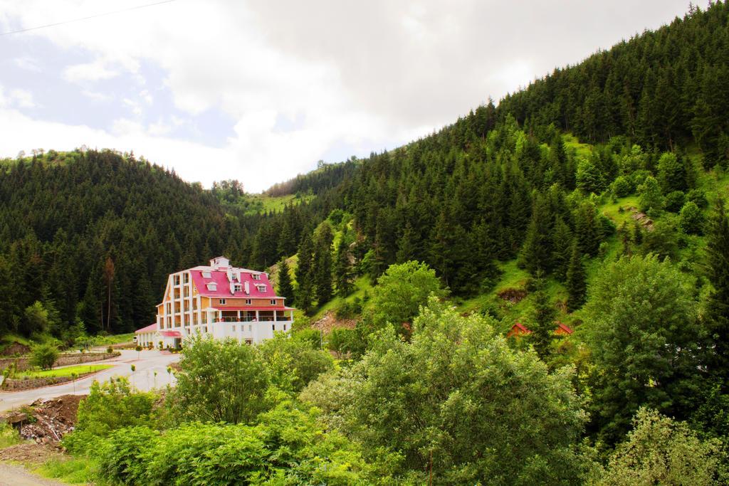 Hotel Green Valley Savsat Extérieur photo